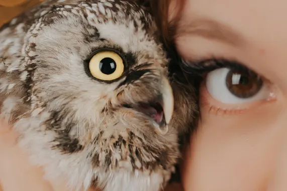 MatchUp Kasino Podpora